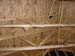 DSC05754.jpg